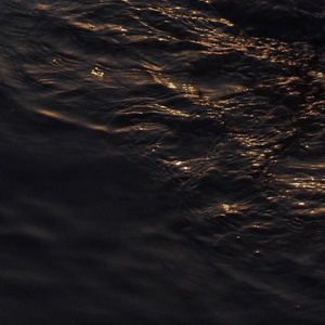 piperperrier黑白配xxx
