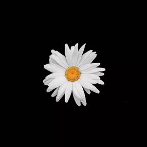 piperperrier黑白配xxx
